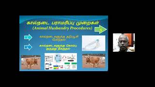 கால்நடை பராமரிப்பு முறைகள்|Animal Husbandry Procedures