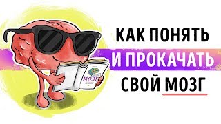 «Мозг. Инструкция по применению». Дэвид Рок | Саммари ®