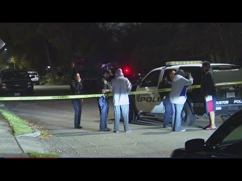 Houston Mother Killed In Possible Domestic Violence Incident, Neighbors ...