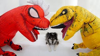 My Puppy's Favorite Stories With T-Rex Dinosaurs!