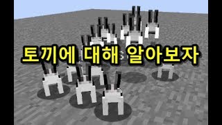 마인크래프트 비공격적몹 '토끼'에 대해 알아보자