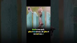 Jindagi Bhar Yad Rahata Hai 💯🦜🐣#motivation #viral #youtubeshorts #reels #new #tiktok #funny #shorts💯