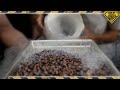 Coffee Beans at -346 °F Has an Unexpected Flavor