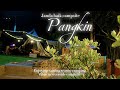 pangkin campsite | Janda baik | #riversidecamping | #deckcamping #jandabaikcampsite