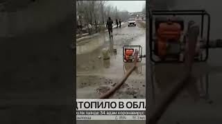 Несколько дворов подтопило в Жетысуской области