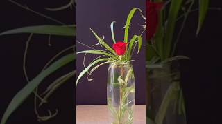 Rose #flowerarrangementideas #flowers #flowermaking #ikebana