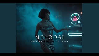 MelodAI - Barbatul Din Bar 2024 |Official Song|