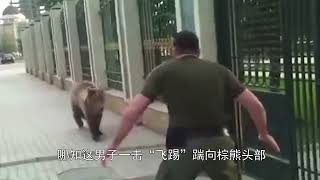 俄罗斯棕熊“越狱”出逃，怎料被猛男一脚“干翻”，熊：不讲武德