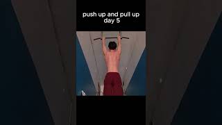 push up and pull up day 5  #calisthenics #fitness #how #workout #exercise #gym #pull