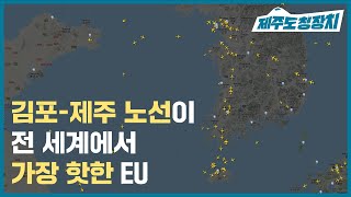 전 세계에서 가장 바쁜 항공노선이 우리나라에 있다고?