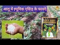 आलू में ह्यूमिक एसिड़ के फायदे aalu mein humic acid kab dale aalu mein humic acid