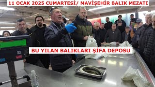 11 OCAK 2025 CUMT. MAVİŞEHİR BALIK MEZATI. GÜNÜN BALIKLARI AHTAPOT VE YILAN BALIKLARI OLDU.