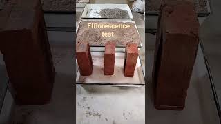 #efflorescence test of brick..( harmful ingredients in brick.
