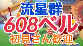 【あつ森】ライブ参加型　カブ608ベルや流星群島　手数料なし雑談