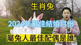 生肖屬相兔！2024年結婚大利月！哪個月結婚最好？屬兔人最佳配偶是誰？本期視頻說生肖屬相兔婚姻！#風水 #運勢 #生肖 #婚姻