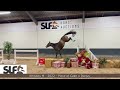 slf 12 24 whiskey m mare 2022 by piece of cake m