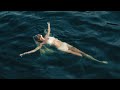 ELENA ROSE & Justin Quiles - COSITA LINDA