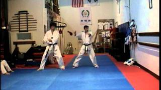 Tae Kwon Do Yoo-Shin form rear view