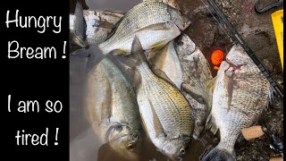 ISO Rock Fishing | Bream Fishing Sydney Harbour | Middle Harbour I Kingfish