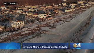 Florida Beekeepers Take Big Hit Due To Hurricane Michael