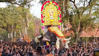 Anayadi Pooram (Gajamela) 2019 - ആനയടി പൂരം 2019