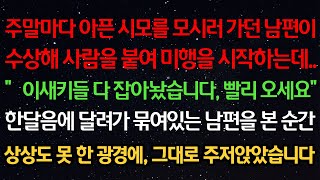 실화사연- 주말마다 아픈 시모를 모시러 가던 남편이 수상해 미행을 시작하는데..“다 잡아놨습니다, 빨리 오세요”한달음에 달려가 묶여있는 남편을 본 순간상상도 못 한 광경에,