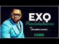 exq pandakakuona official audio