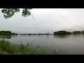 【カヨイボーズ】駕与丁公園（2020 07 12）２匹