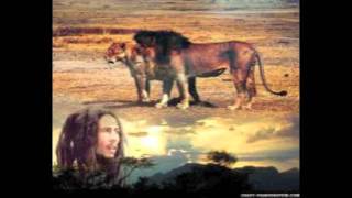 She Knows Now - Stephen Marley