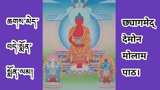 ༼ཆགས་མེད་བདེ་སྨོན་སྨོན་ལམ☸️Video only for hear.☸️छ्यागमेद् देमोन मोलाम पाठ।༽