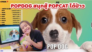 POPDOG พักเรียนออนไลน์มากด ทำไมคะแนนลดละเนี่ย? I RoyKeaw All Area เลี้ยงลูกสุดเหวี่ยง