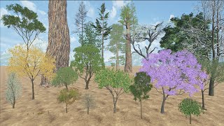 The Highest Tree Over The World - 3D Tree Size Comparison