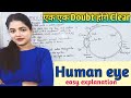 Human Eye | Structure & Function of Human Eye | Human Eye and the Colourful World | Easy Explanation