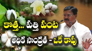 నూతన పత్తి - తక్కువ విస్తీర్ణంలో అధిక దిగుబడి | High density - single pick cotton | S Niranjan Reddy