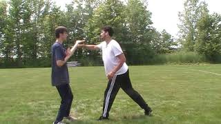 Wing Chun  blocking hand technique Tan sau