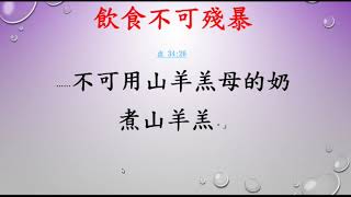 申命記   59   申命記  20章 1 20節   新約信徒如何理解申命記20章論及神為以色列人爭戰得地的涵義     聖經分享SHENG YANG LU盧聲揚  20201205