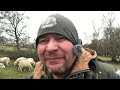 i could well be one of the longest continuous farming utube channels in the uk maybe no 1