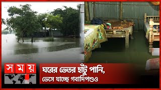 গজলডোবার সব জলকপাট খুলে দিয়েছে ভারত | Flood Situation in Rangpur | Teesta Barrage | Somoy TV