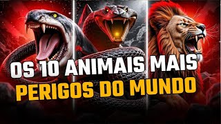 OS 10 ANIMAIS MAIS PERIGOSOS DO MUNDO