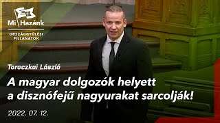 A magyar dolgozók helyett a 🐷 nagyurakat sarcolják!