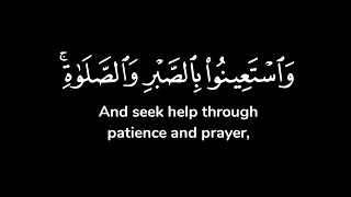 واستعينوا بالصبر والصلاة وإنها لكبيرة إلا على الخاشعين ..| شاشة سوداء | مشاري العفاسي