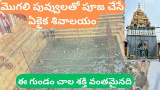 Sri Ketaki Sangameshwara Temple - Jharasangam  - శ్రీ కేతకి సంగమేశ్వర దేవాలయం ఝరాసంఘం - Shiva Temple