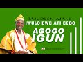 AGOGO IGUN ( PLANT)