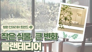 인테리어 트렌드! 플랜테리어로 병원에 자연을 들여놓기🌿 플랜 테리어 어렵지 않아요! 병원 인테리어 팁