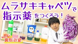 【Nスタ実験教室】ムラサキキャベツで指示薬をつくろう！