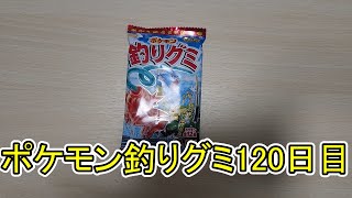 ポケモン釣りグミ120日目