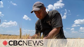 What happened in week 22 of the Russia-Ukraine war: Grain export deal