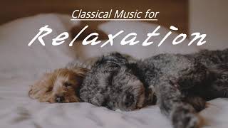 [NO ADS, 2 HOURS] Classical Music for Relaxation | Beethoven, Mozart, Bach, Tchaikovsky, Vivaldi…