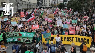 Auckland Protest: Thousands march against Fast-track Approvals Bill in Aotea Square | NZH