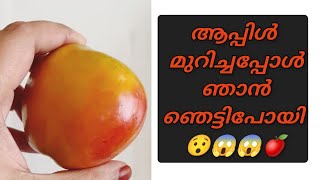 #apple ഇങ്ങനെ ഒരു ആപ്പിൾ കണ്ടിട്ടുണ്ടോ??Variety Apple |Kisabbel Apple